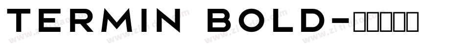 Termin Bold字体转换